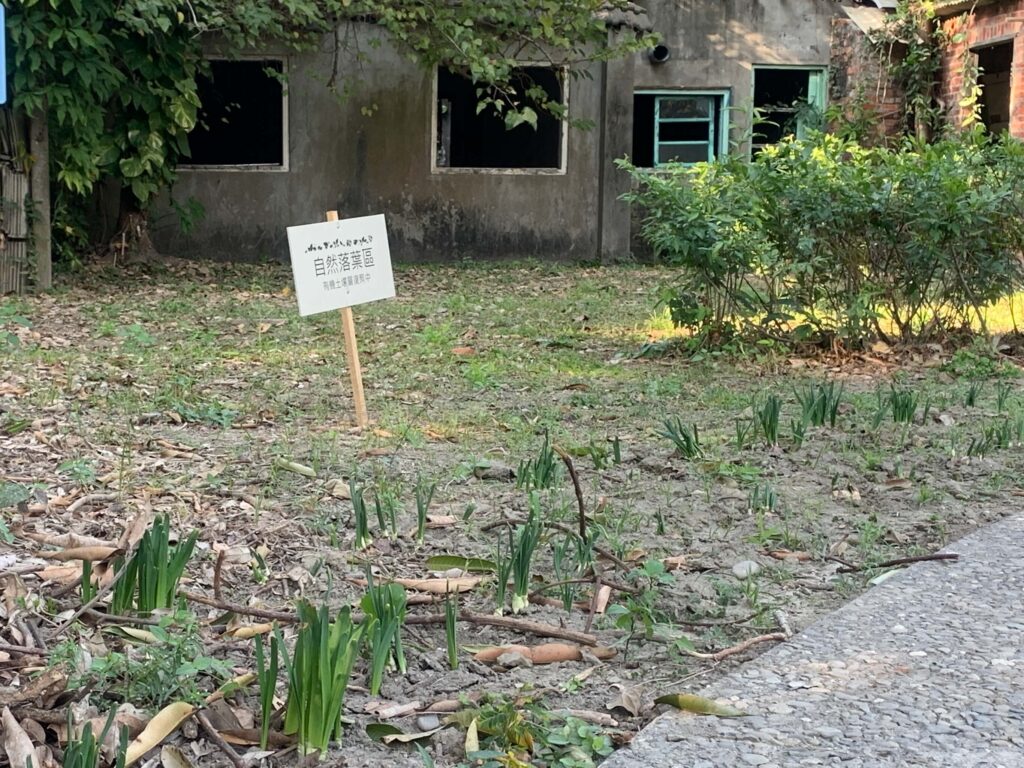 雲林虎尾｜建國眷村 年味滿滿！過年走春景點推薦！