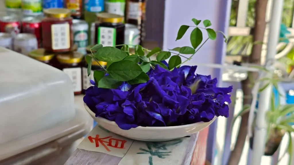 竹南崎頂阿麗小棧冰店