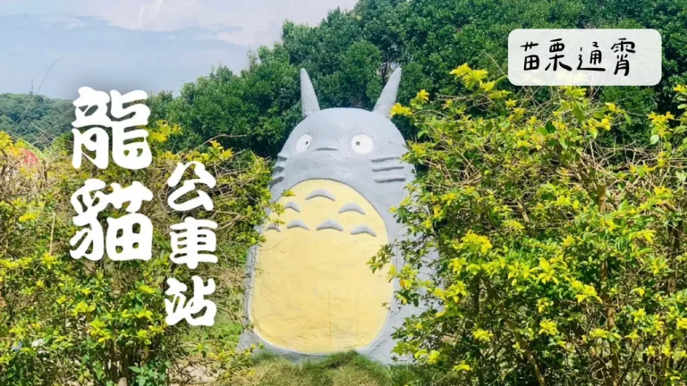 苗栗通霄|龍貓公車站怎麼去?藏在田野間的可愛打卡點!
